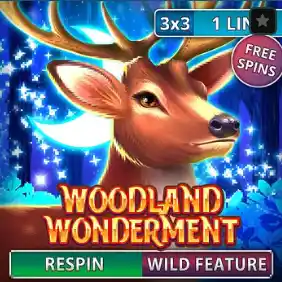 Woodland Wonderment